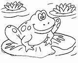 Frog Toad Coloring Pages Getcolorings Printable sketch template