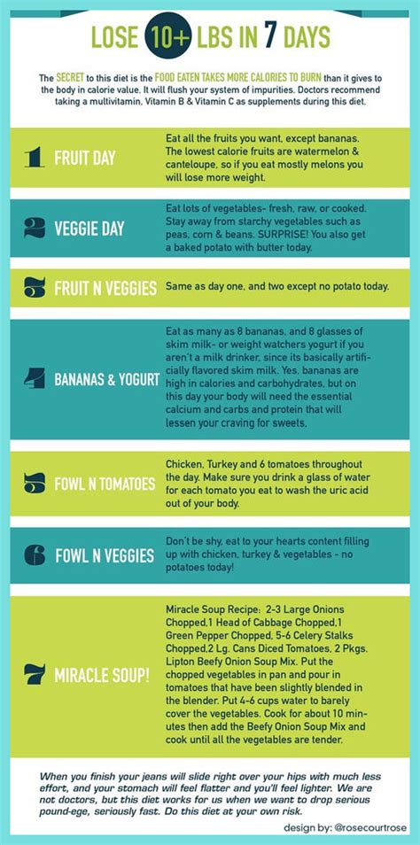 day plan  lose  pounds infographic  day
