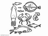 Sea Life Food Coloring Pages Under Kids Printable sketch template