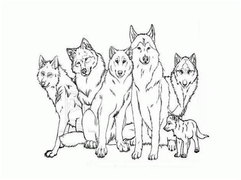 wolf  pup coloring pages coloring home