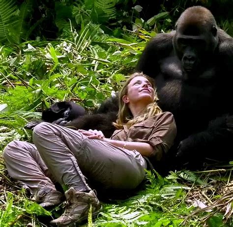 Moment Damian Aspinall S Wife Meets The Gorillas He Bred Daily Mail