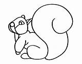 Ardilla Scoiattolo Coda Grandi Colorare Dimensioni Esquilo Cauda Cua Amb Esquirol Disegni Dibuix Bosque Acolore Animali Animais Dibuixos sketch template