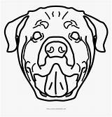 Rottweiler Ultra Print sketch template