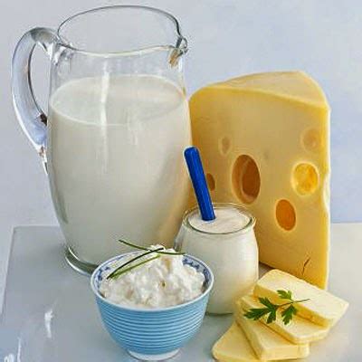 info anatomy daily consumption  dairy items upshot  controlling