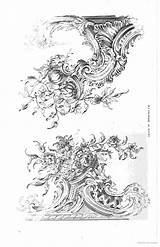 Acanthus Drawing Guide Choose Board Ornamental Foliage Every Description Drawings sketch template
