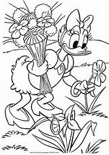 Coloring Pages Duck Disney Daisy Donald Color Printable Kids Sheet Sheets Cartoon Found Print Dibujos sketch template