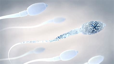 La Qualità Dello Sperma Umano Sta Calando Conferma La Svizzera Wired