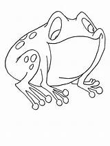 Bullfrog Shaped Coloring Funny Pages sketch template