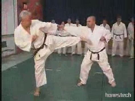 karate punches strikes kicks moves  techniques video dailymotion