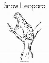 Leopard Snow Coloring Built California Usa sketch template
