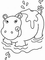 Hippo Mammals Aquatic Colouring sketch template