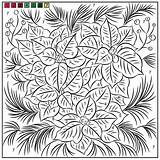 Poinsettia Nicole Color Coloring Florian November Numbers Created Friday sketch template