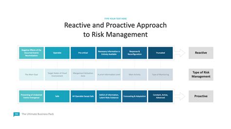 reactive  proactive approach  risk management scheme