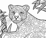 Colorit Freebie Wildcats Cats sketch template