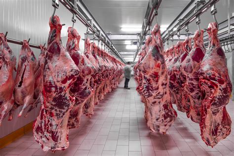 meat stock  skyrocket     meat shortage  motley fool