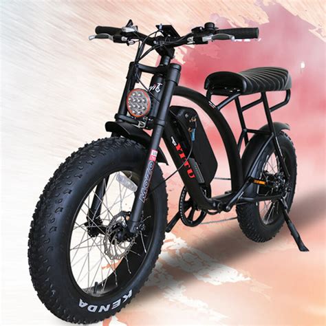 super  single rear drive hub motor fat tire electric bicycle ebike