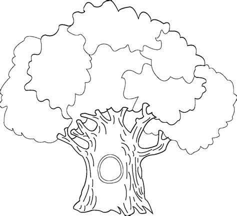 tree trunk coloring page  getcoloringscom  printable colorings