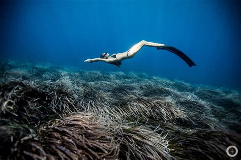 meet the freediving couple who make stunning underwater photos with no scuba gear
