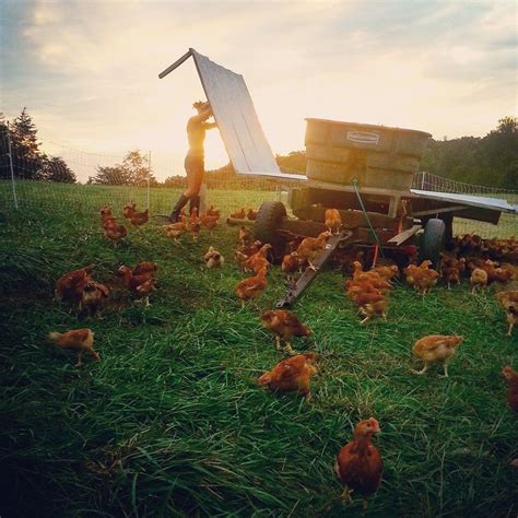 farmhand jobs  virginia beginning farmers