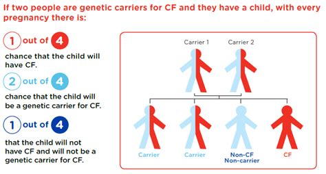cystic fibrosis cf carrier screening