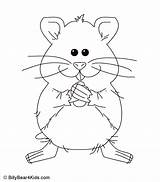 Hamster Criceto Ausmalbilder Coloriage sketch template