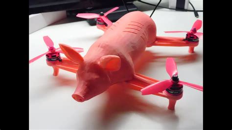 swine flew  flying pig quadcopter whenpigsfly youtube
