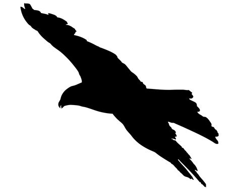 bird flying silhouette  stock photo public domain pictures