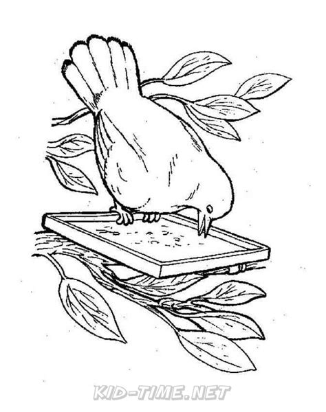 bird bath pages coloring pages