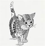 Coloring Cat Pages Mandala Zentangle Adult Cats Animals Kwok Ben Colouring Kitten Adults Animal Printable Coloriage Books Chat Van Mandalas sketch template