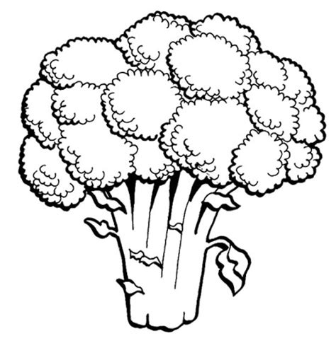 coloring pages cauliflower vegetable coloring pages