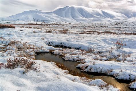 drilling  arctic national wildlife refuge   step closer