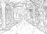 Forest Selva Bosque sketch template