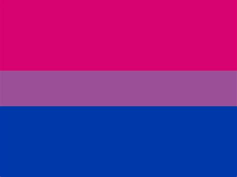 Bandera Bisexual Grande Compra Online En Tienda Del Orgullo Lgbt