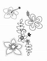Coloring Pages Flower Tropical Hawaiian Plumeria Flowers Hawaii Printable Luau Themed Choose Color Print Colouring Drawing Popular Getcolorings Board Comments sketch template