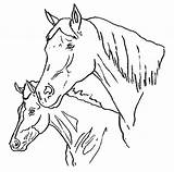 Caballos Cavalli Caballo Malvorlagen Cavalos Pferde Coloriage Chevaux Cavallo Salvajes Colorir Desenhos Cabeza Caras Stampare Cabezas Konji Playmobil Cheval Colorea sketch template