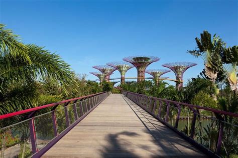 Gardens By The Bay By Grant Associates And Wilkinson Eyre