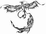 Phoenix Tattoo Tribal Outline Designs Drawing Rising Tail Ashes Bonny Ink Giant Getdrawings Thebodyisacanvas Meaning Clipartmag Tattooimages Biz sketch template
