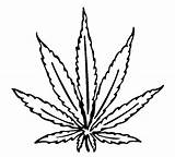 Marijuana Coloring Leaf Pages Weed Stencils Getdrawings sketch template