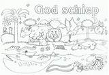 Kleurplaten Jona Schepping Bijbel Natuur Peuters Christelijk Dieren Knutselen Hemelvaart Moeilijk Downloaden Bord sketch template