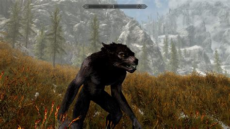 elder scrolls  skyrim lycanthropy werewolf guide