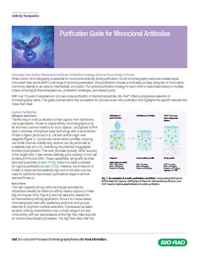 monoclonal antibody purification guide bio rad