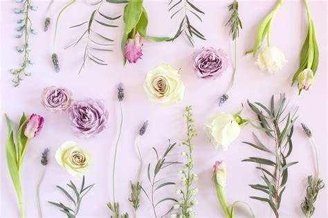 digital blooms march   pantone inspired desktop wallpapers  spring  lavend