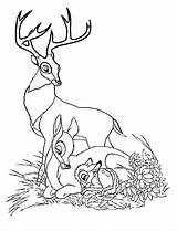 Bambi Colorear Bambie Faline Fanpop Wonder Gratuitamente Suoi Genitori Embarrassment Magiedifilo Risorse sketch template