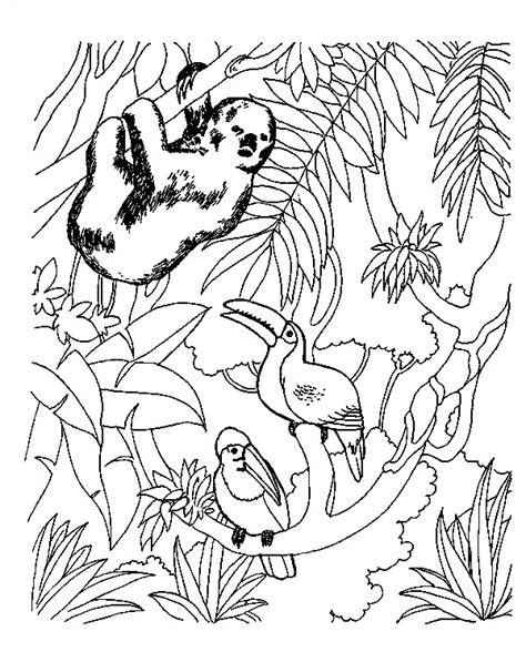 realistic jungle scene coloring pages