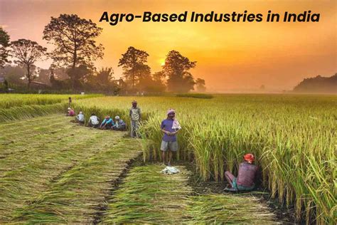 agro based industries  india smart tech data