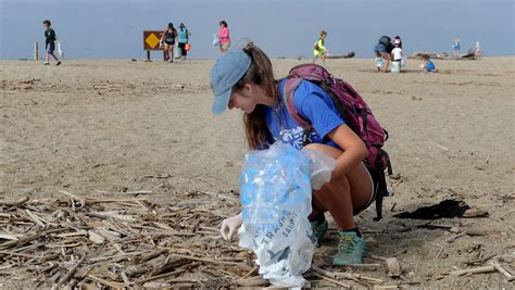 gallery volunteers tackle trash  coastal cleanup day