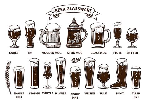 The Complete Guide To Beer Glassware Understanding Types Styles And