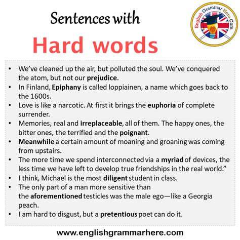sentences  experience experience   sentence  meaning