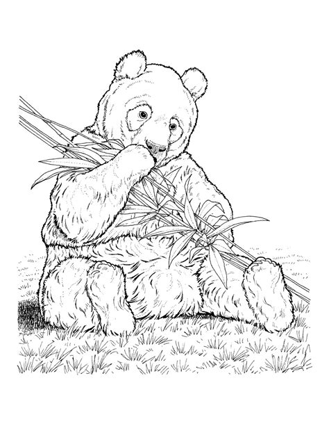 endangered animals coloring pages coloring pages