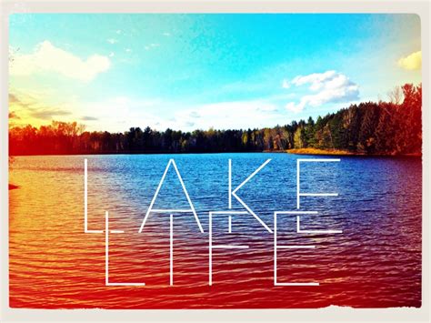 lake life   tibbetts  dribbble
